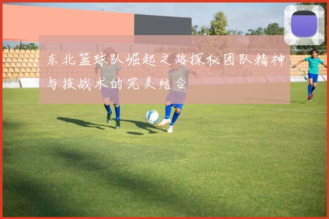 东北篮球队崛起之路探秘团队精神与技战术的完美结合
