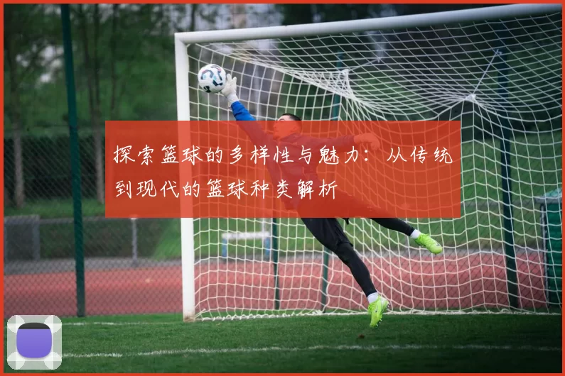 探索篮球的多样性与魅力：从传统到现代的篮球种类解析