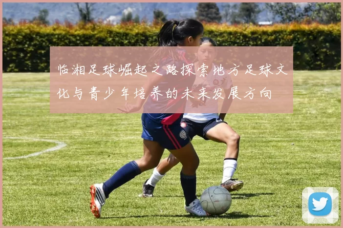 临湘足球崛起之路探索地方足球文化与青少年培养的未来发展方向