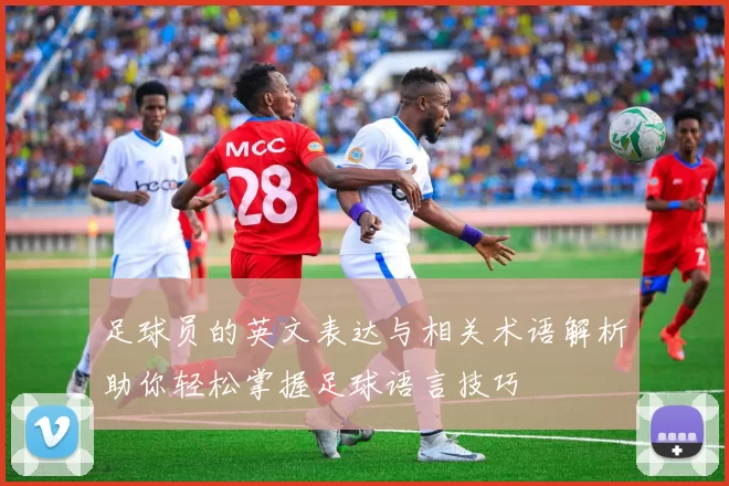 足球员的英文表达与相关术语解析助你轻松掌握足球语言技巧