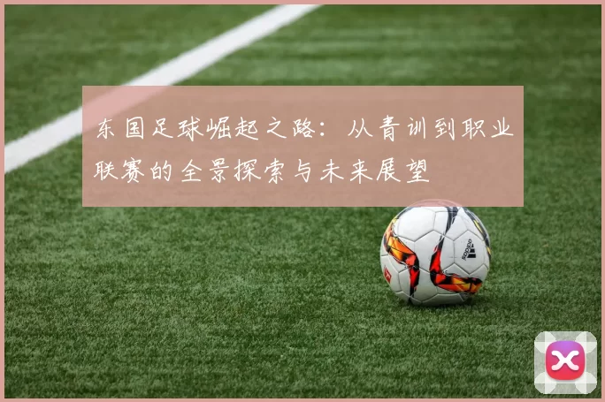 东国足球崛起之路：从青训到职业联赛的全景探索与未来展望