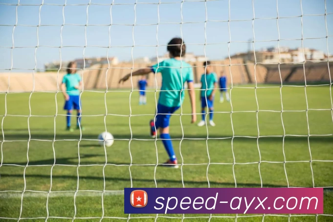 爱游戏服务体系